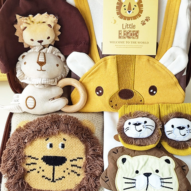 Baby Boy Gift Set